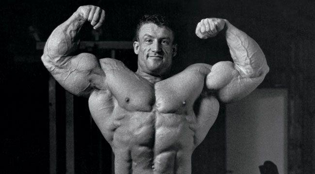 Dorian Yates - Fitness Athlete